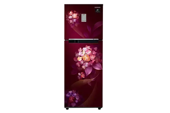 Samsung 236L 2 Star Inverter 3 In 1 Double Door Refrigerator (RT28C3732HT-HL) My Store