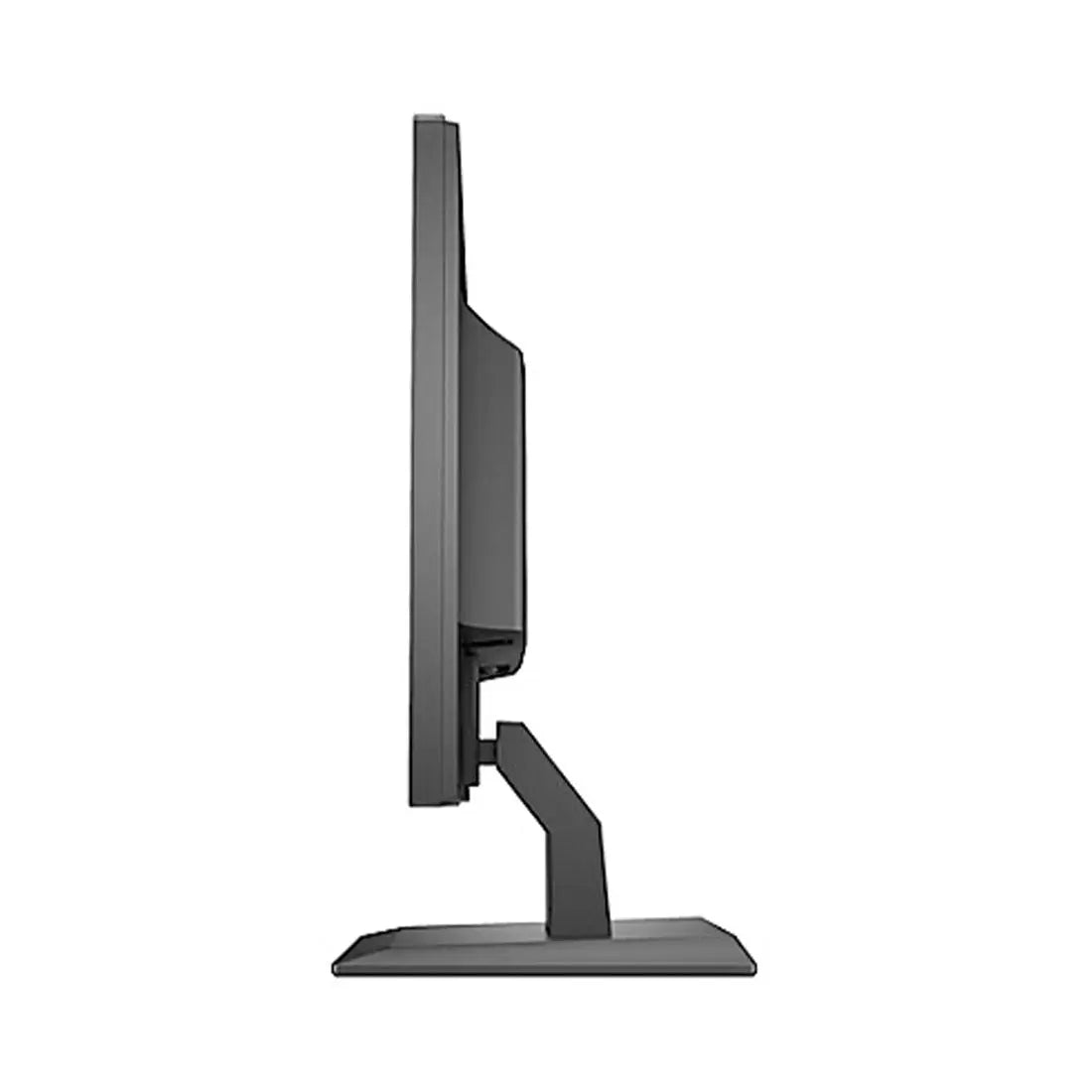 HP P204v 19.5 Inch HD Plus LED Anti-Glare Adjustable Computer Monitor with Vesa Mount Support My Store