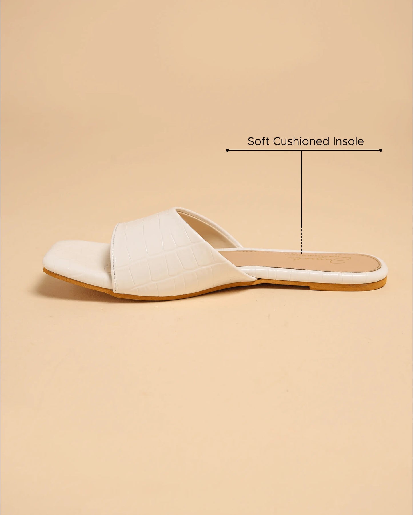 Daffodil Slides My Store