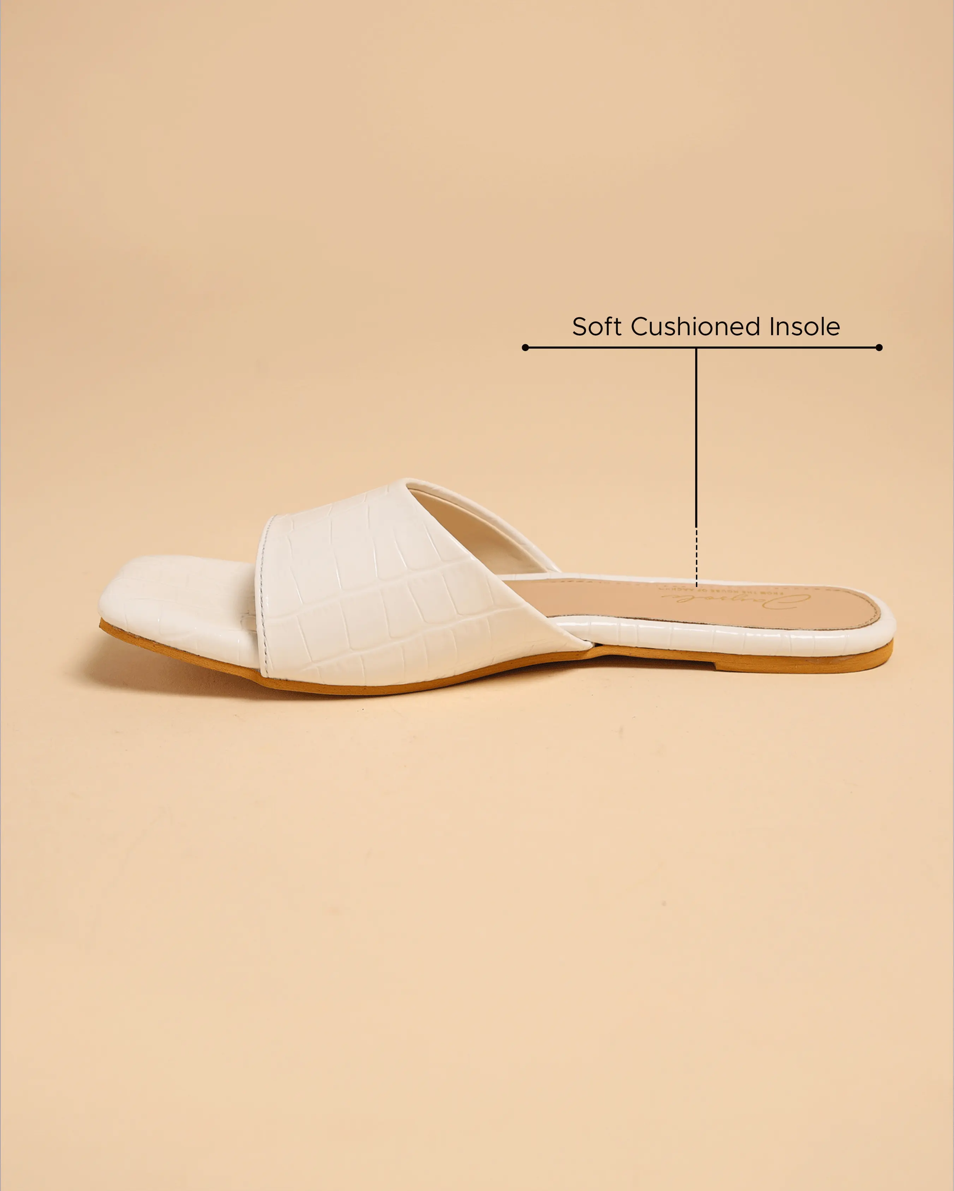 Daffodil Slides My Store