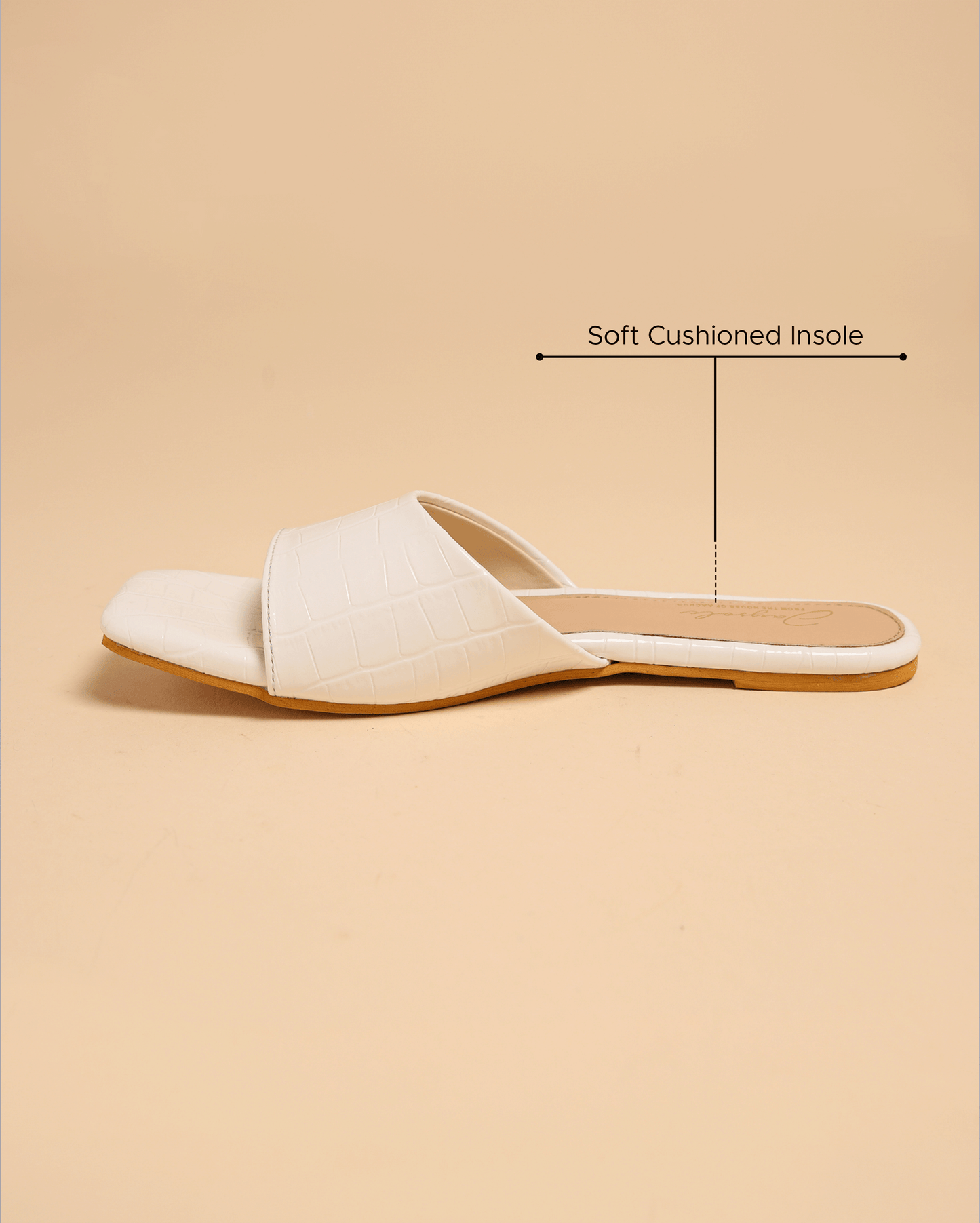 Daffodil Slides My Store