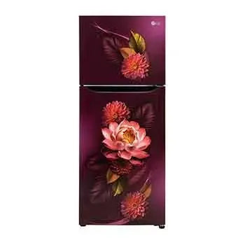 LG 240L Double Door Refrigerator with Smart Inverter Compressor,35999 (GL-S292SRWY.DRWZEBN) My Store