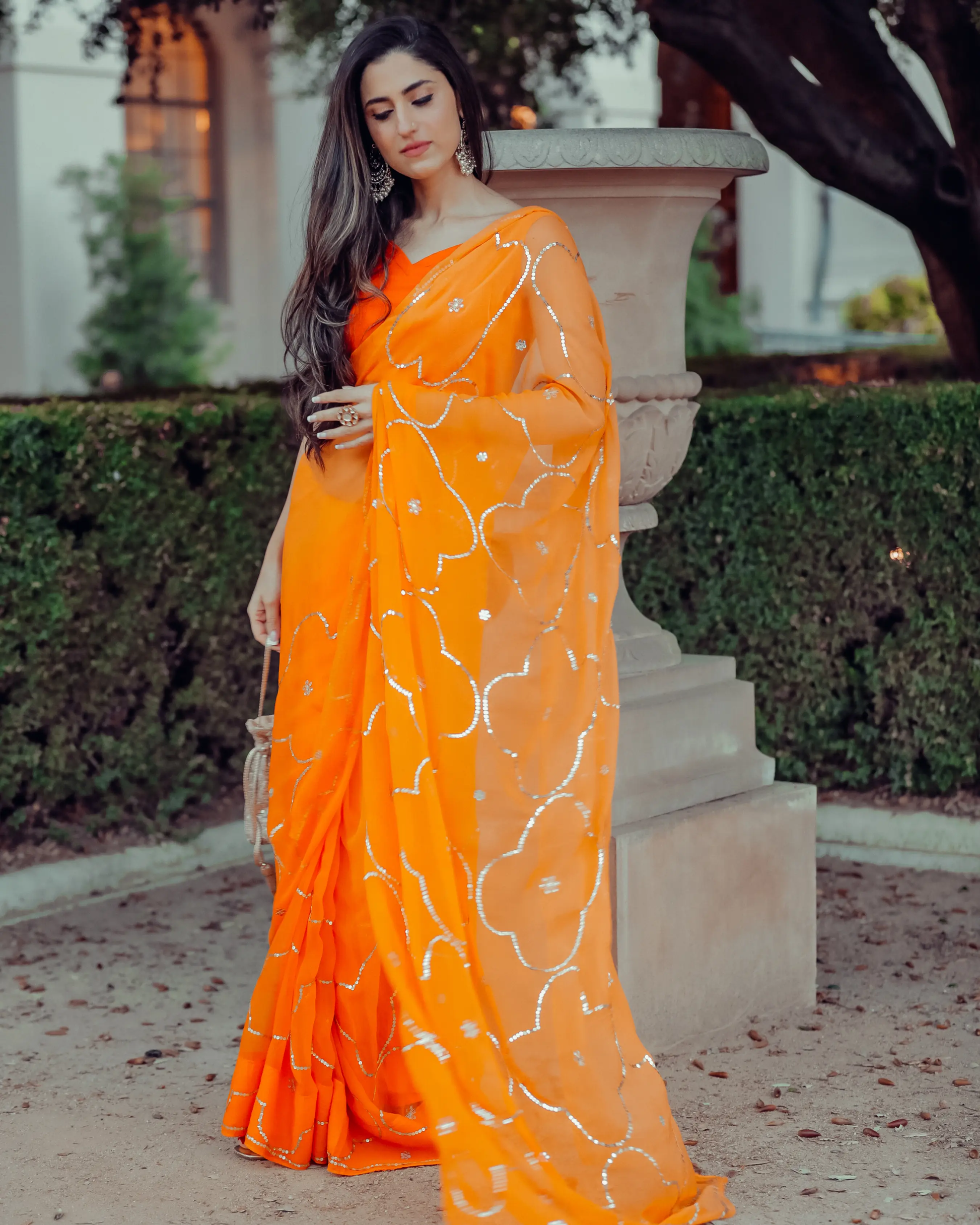 Autum Glory Sequin Jaal Pure Chiffon Saree My Store
