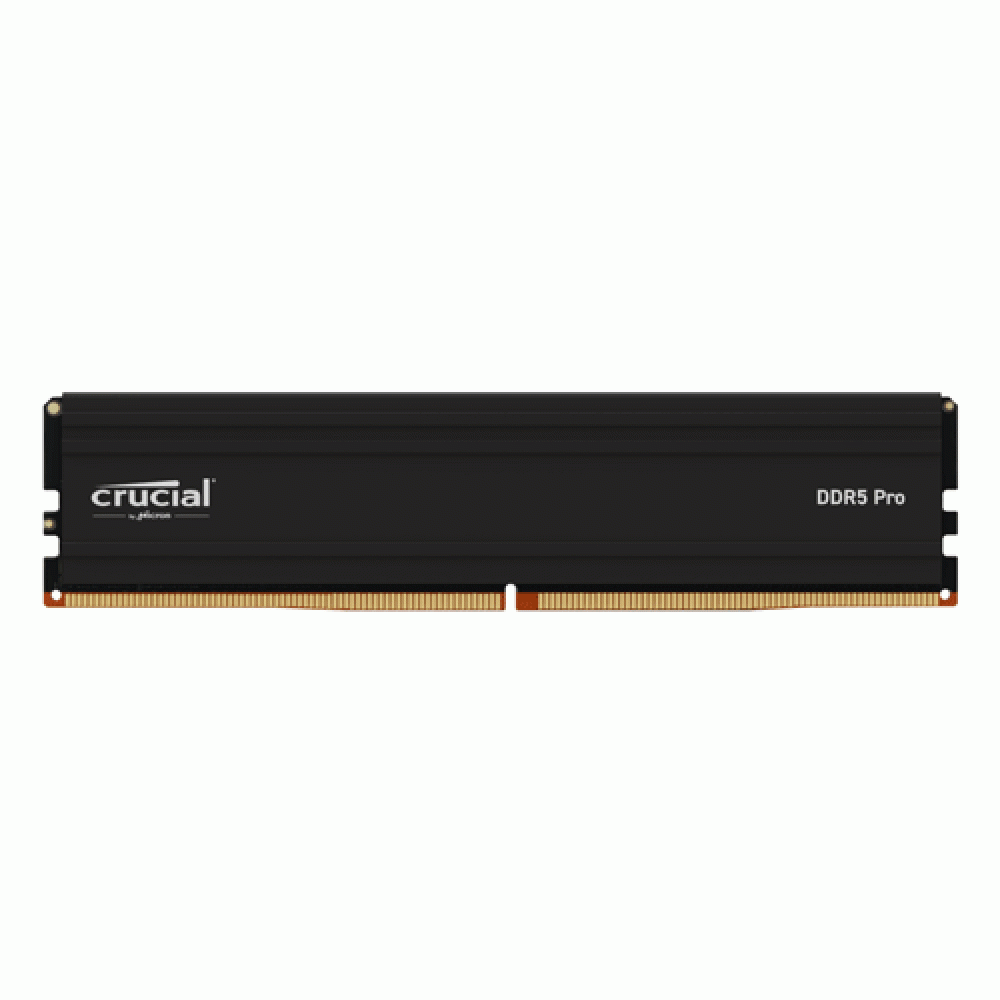 Crucial Pro 16GB DDR5 5600MHz CL46 Desktop Memory My Store