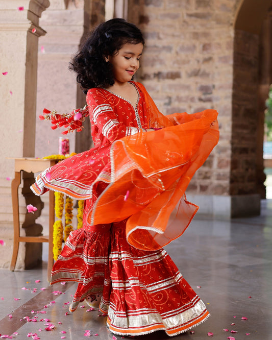 Cari Cotton Bandhej Sharara Set My Store