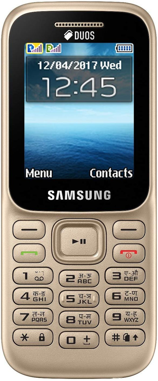 SAMSUNG GURU MUSIC 2 B310EZBD