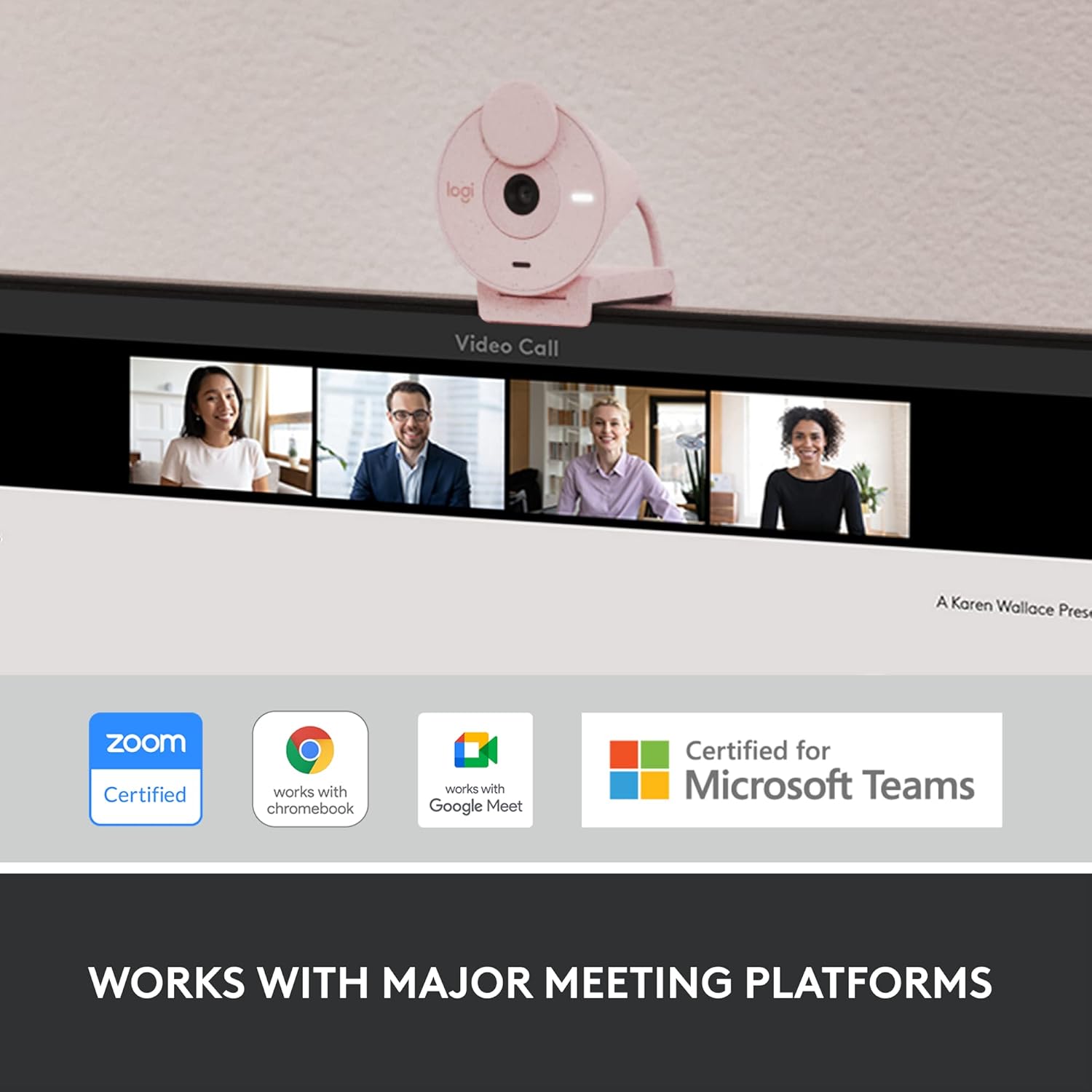 Logitech Webcam Brio 300 Rose