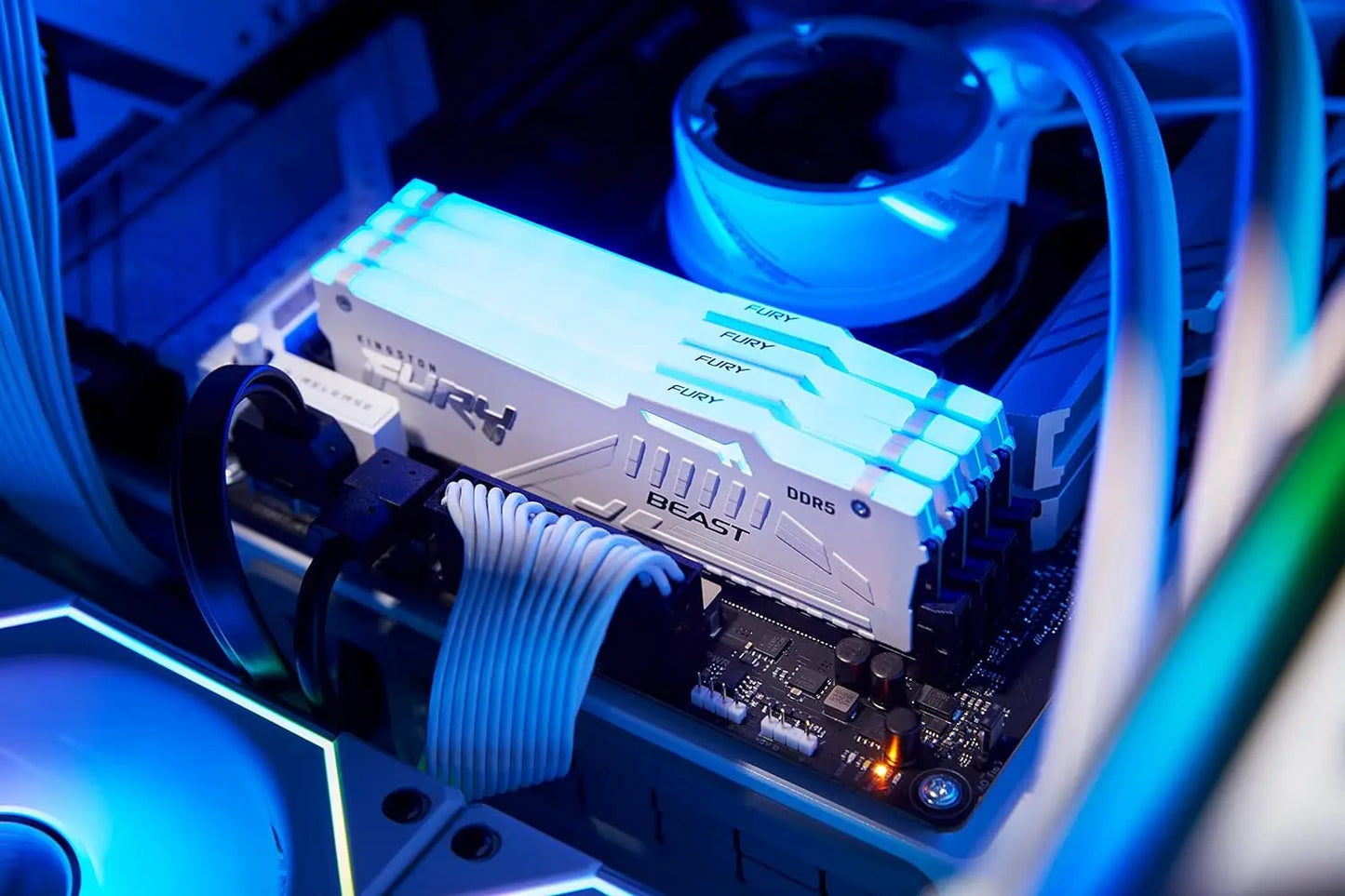 Kingston Fury Beast RGB 16GB DDR5 5600MHz CL40 DIMM Gaming Desktop Memory - White