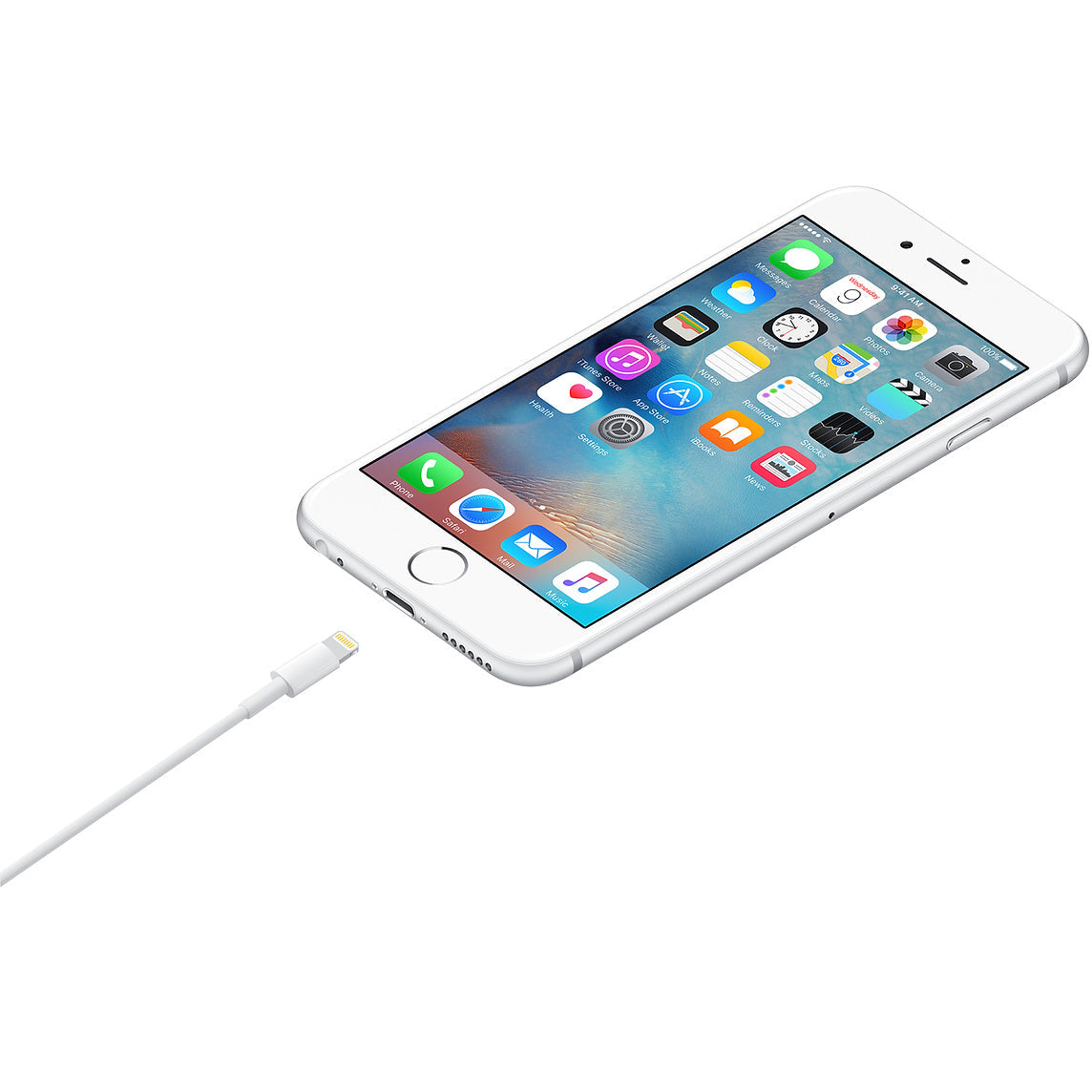 Apple Lightning to USB Cable (0.5m) ME291ZM/A