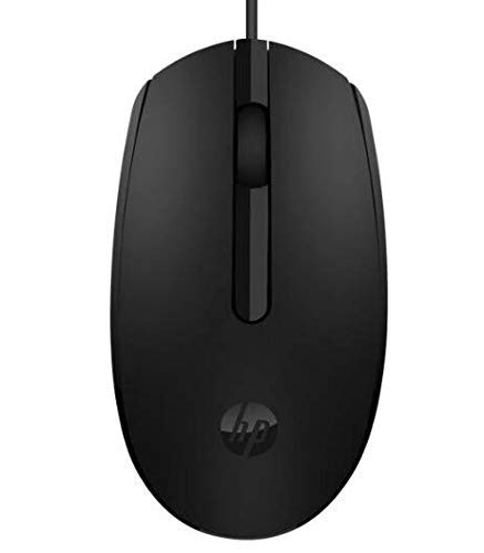HP MOUSE USB M10