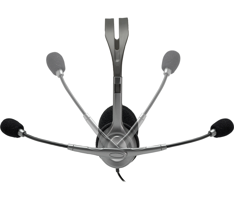 Logitech Wired Headphone H110 Double Pin