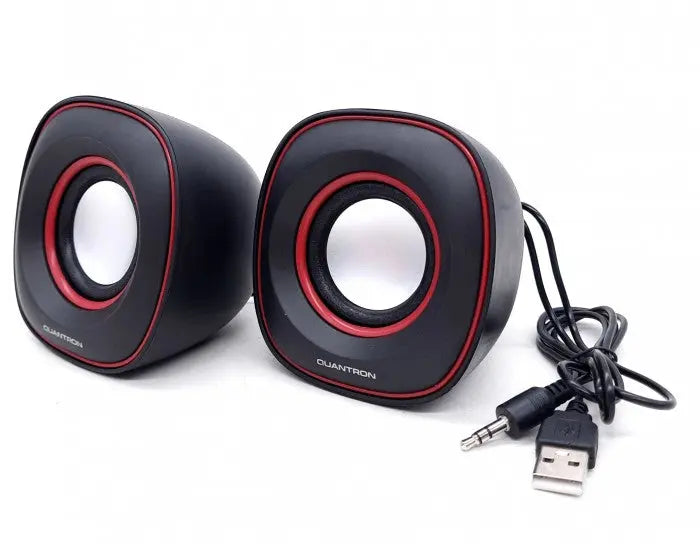 Quantron QWS-1210 Wired Mini Speaker