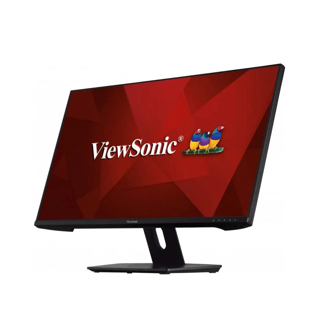 ViewSonic VX2480-2K-SHD 24” QHD 75Hz IPS Monitor with Eye Care Technology My Store