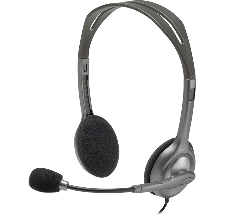 Logitech Wired Headphone H110 Double Pin