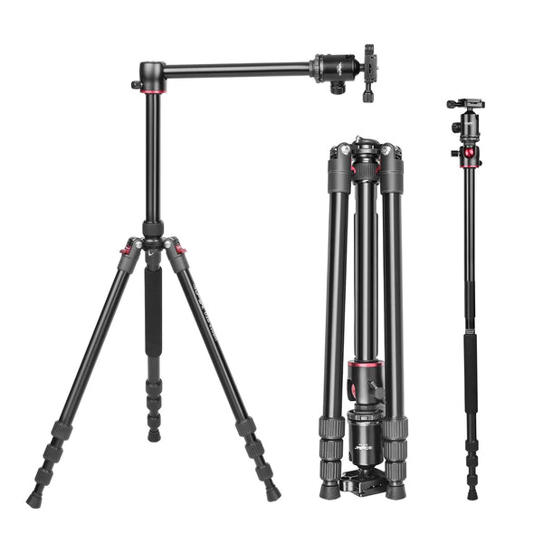 Digitek DTR 520 BH (60 Inch) Professional Aluminum Tripod Cum Monopod with Swivel Pan Head, for DSLR Camera  Maximum Operating Height: 4.95 Feet    Black DTR 520 BH