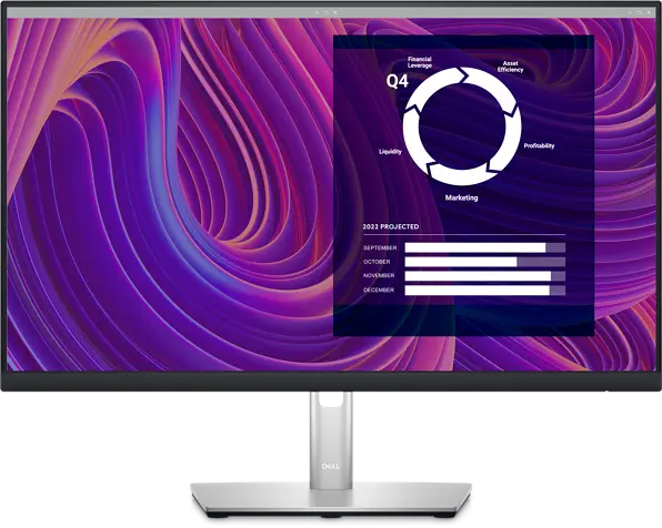 Dell P2423D 24" QHD 60Hz 5ms IPS Professional Monitor My Store