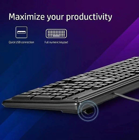Hp Keyboard Wired K100